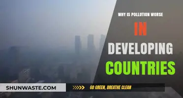 Pollution Crisis: Why Developing Nations Bear the Heaviest Burden