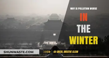 Winter's Silent Hazard: Unraveling the Seasonal Spike in Pollution
