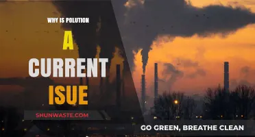 Pollution's Persistent Problem: A Modern-Day Crisis