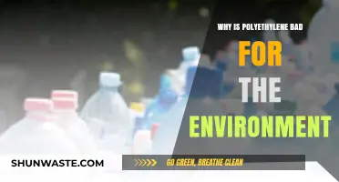 Polyethylene's Environmental Impact: Harmful Effects and Sustainable Alternatives