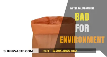 Polypropylene's Environmental Impact: Harmful Effects and Sustainable Alternatives