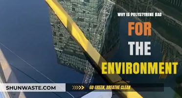 Polystyrene's Environmental Impact: Harmful Effects and Sustainable Alternatives