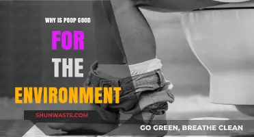 Poop's Surprising Eco-Benefits: How Waste Boosts Environmental Health
