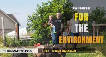 Pork's Hidden Costs: Environmental Impacts of Industrial Pig Farming
