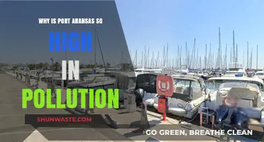 Port Aransas Pollution Crisis: Uncovering the Shocking Environmental Truth