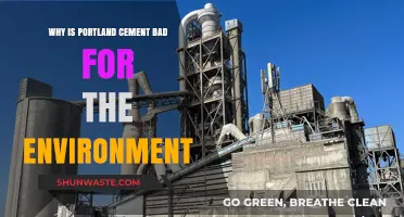 Portland Cement's Environmental Impact: A Hidden Ecological Disaster