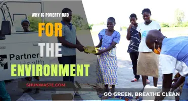 Poverty's Environmental Toll: How Economic Hardship Harms Our Planet