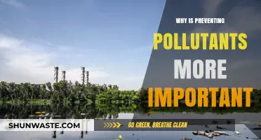 Preventing Pollutants: A Critical Step for Healthier Ecosystems and Futures