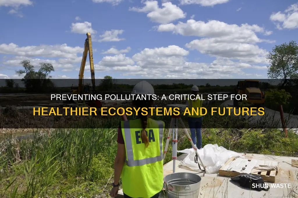 why is preventing pollutants more important