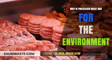 Processed Meat's Hidden Costs: Environmental Impact and Sustainability Concerns