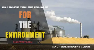 Ethanol from Sugarcane: Environmental Costs of a Green Fuel Myth