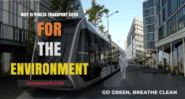 Public Transport: A Sustainable Choice for Greener Cities and Cleaner Air