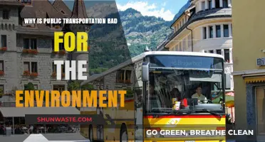 Public Transit's Environmental Impact: Uncovering the Hidden Ecological Costs