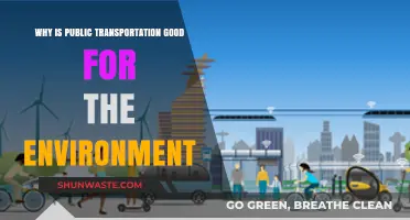 Public Transportation: A Sustainable Choice for Greener Cities and Cleaner Air