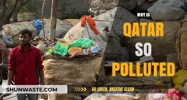 Qatar's Pollution Crisis: Uncovering the Causes and Consequences