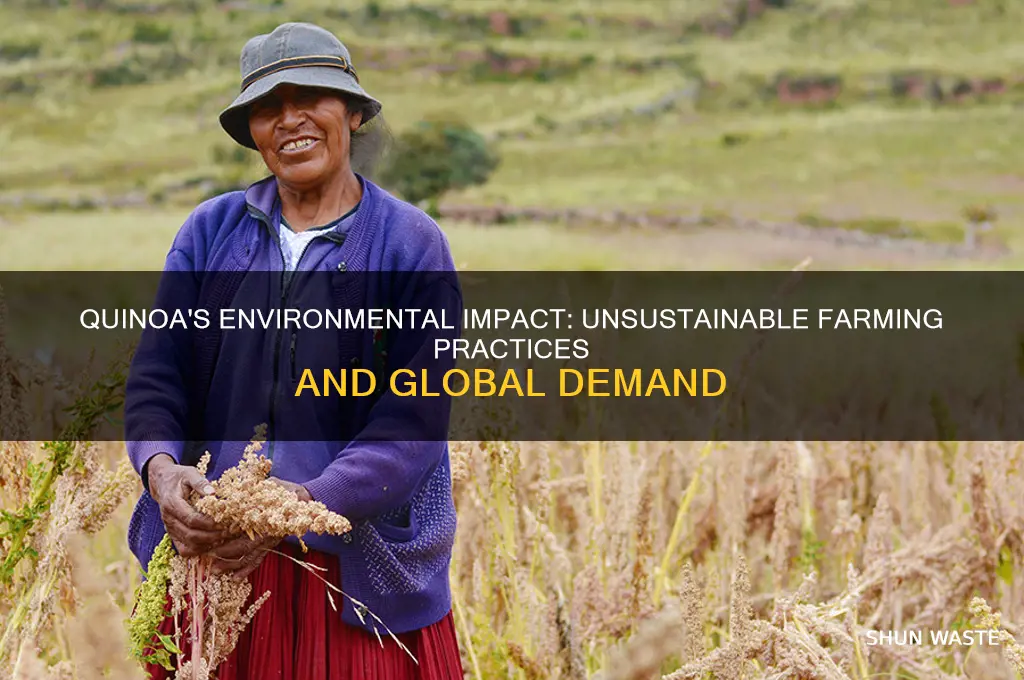 why is quinoa bad for the environment