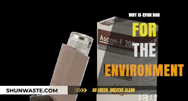 Qvar's Environmental Impact: Uncovering the Hidden Harms of Inhalers