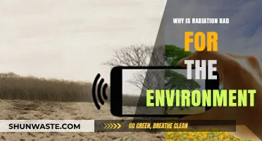 Radiation's Environmental Impact: Understanding Its Harmful Effects on Ecosystems