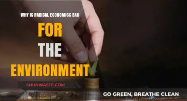 Radical Economics' Environmental Toll: Unsustainable Practices and Ecological Consequences