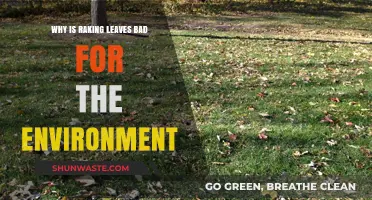 Raking Leaves: Uncovering the Hidden Environmental Costs of a Fall Ritual
