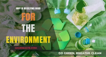 Recycling's Eco-Impact: How Reusing Materials Benefits Our Planet