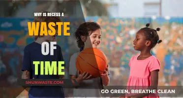 Debunking the Myth: Recess Isn't a Waste of Time