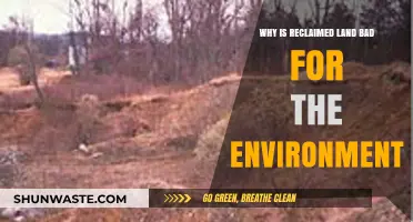 Reclaimed Land's Environmental Impact: Uncovering Hidden Ecological Consequences