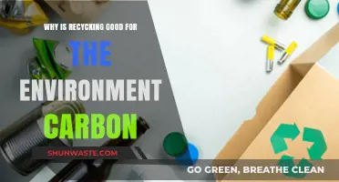 Recycling Reduces Carbon Footprint: Eco-Friendly Benefits for a Greener Planet