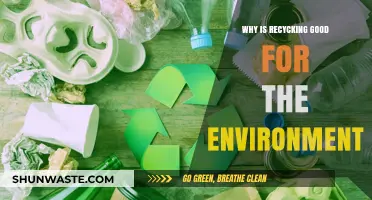 Recycling's Environmental Impact: Reducing Waste, Conserving Resources, and Protecting Ecosystems