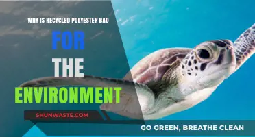 Recycled Polyester's Hidden Environmental Costs: Unraveling the Greenwashing Myth