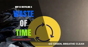 Rethinking Recycling: Is It Really Worth the Effort?