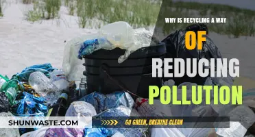 Recycling: A Powerful Tool to Combat Pollution and Protect Our Planet