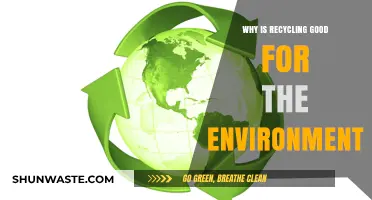 Recycling's Environmental Impact: Saving Resources, Reducing Waste, Protecting Our Planet