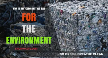 Recycling Metals' Hidden Costs: Environmental Impacts You Need to Know