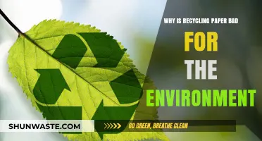 Recycling Paper's Dark Side: Environmental Costs You Need to Know