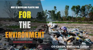Recycling Plastic's Dark Side: Environmental Harms You Need to Know