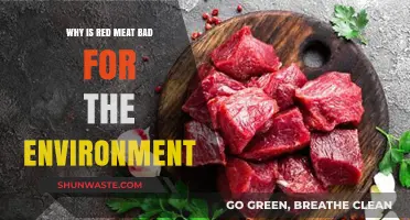 Red Meat's Environmental Impact: Uncovering the Hidden Costs of Consumption