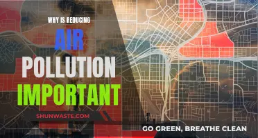 Air Pollution: A Clear and Present Danger