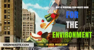 Cutting Food Waste: A Powerful Step Toward Environmental Sustainability