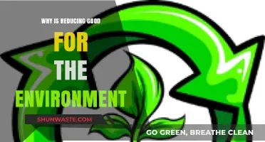Reducing Waste: A Simple Step Towards a Greener, Healthier Planet