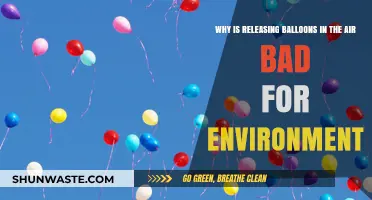 The Hidden Environmental Harm of Releasing Balloons into the Sky
