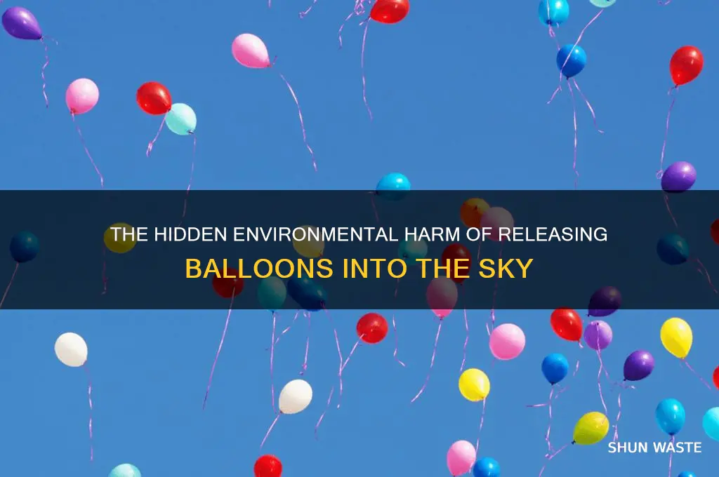 why is releasing balloons in the air bad for environment
