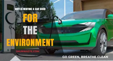Eco-Friendly Travel: How Renting a Car Benefits the Environment