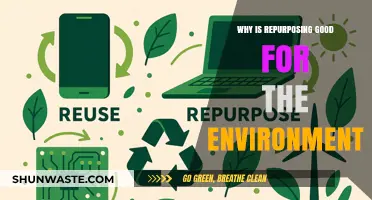 Repurposing Reduces Waste: Eco-Friendly Benefits for a Sustainable Future