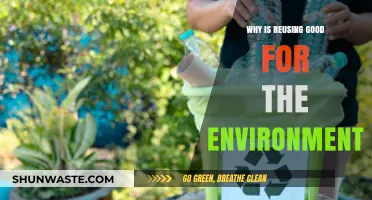 Reusing Reduces Waste: Eco-Friendly Benefits for a Sustainable Planet