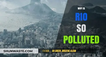 Rio's Pollution Crisis: Causes, Impacts, and Urgent Solutions Needed