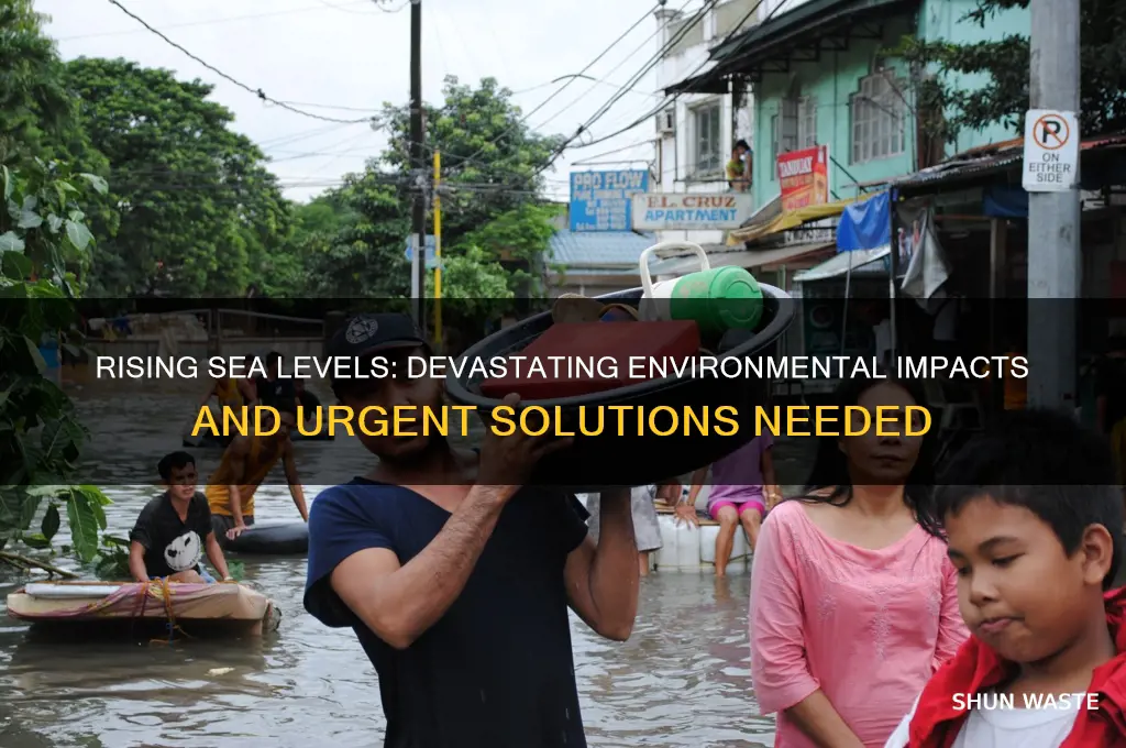 why is rising sea levels bad for the environment