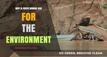 River Mining's Devastating Environmental Impact: Erosion, Pollution, and Ecosystem Loss