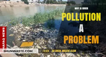 River Pollution Crisis: Threats to Ecosystems, Health, and Water Security