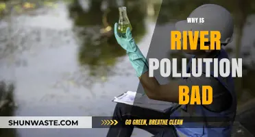 River Pollution's Devastating Impact: Harming Ecosystems, Health, and Communities